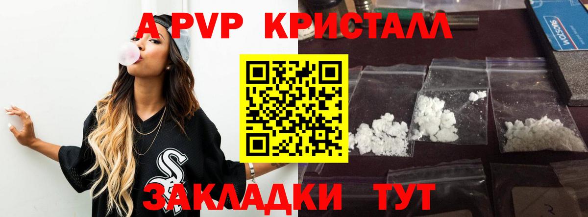Alfa_PVP СК КРИС Туапсе