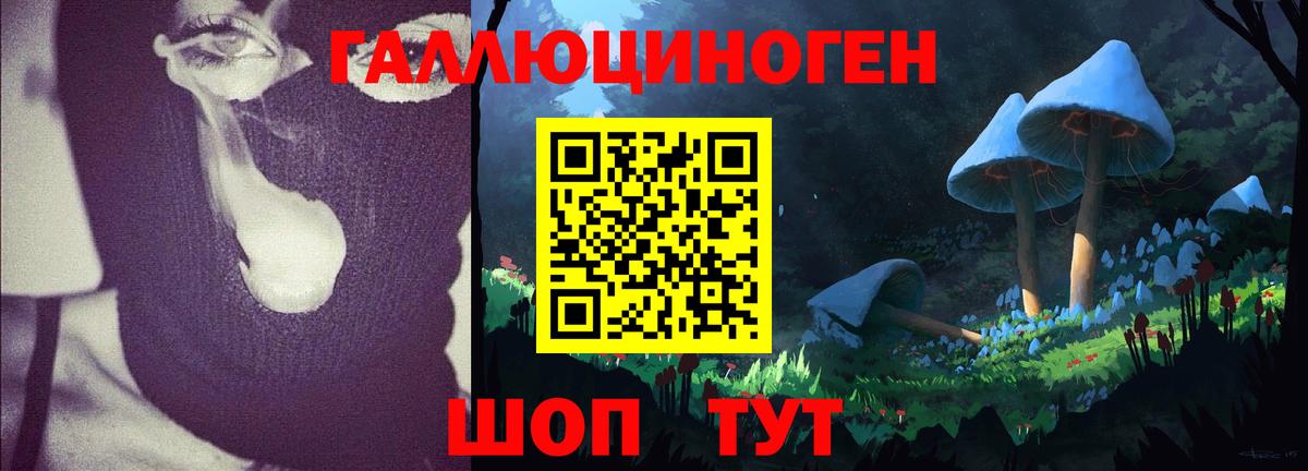 где купить наркоту  Псилоцибиновые грибы GOLDEN TEACHER  Вход с VPN  Туапсе 