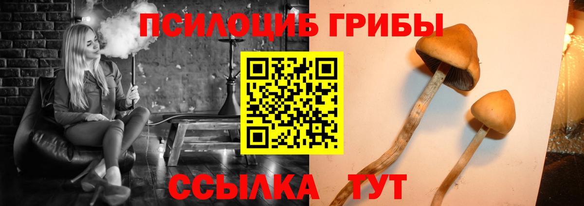 Псилоцибиновые грибы Psilocybine cubensis Туапсе